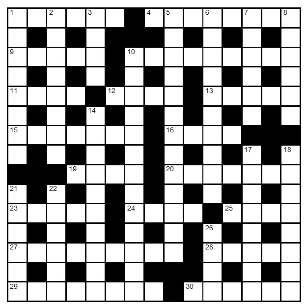 Cryptic crossword 29